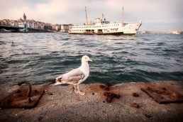 Istanbul. Foto. © Benjamin Tafel