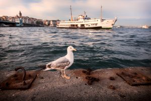 Istanbul. Foto: © Benjamin Tafel